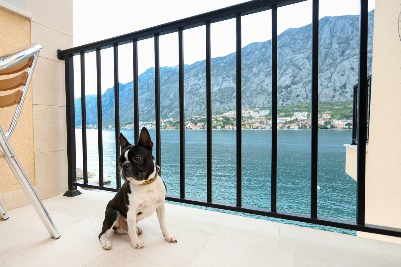 Apartments Rozer Kotor Zewnętrze zdjęcie